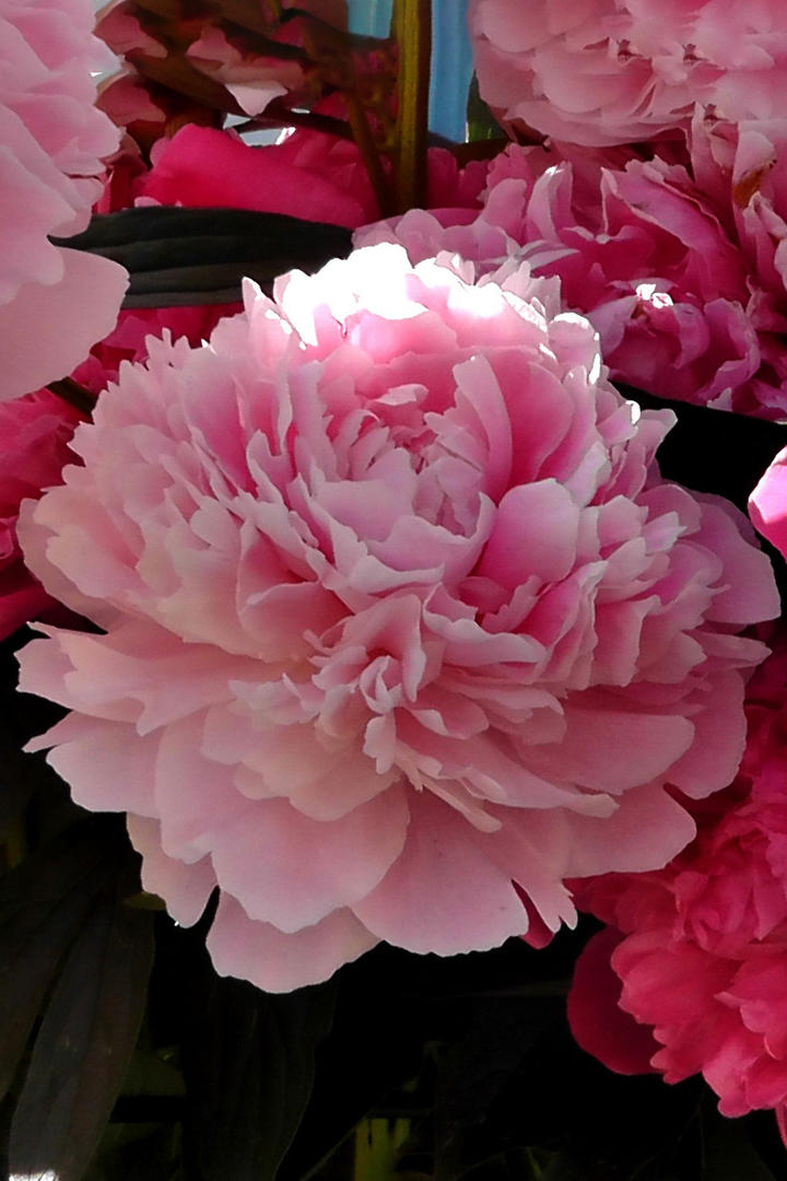 苏绣版后母戊鼎立体感绝了